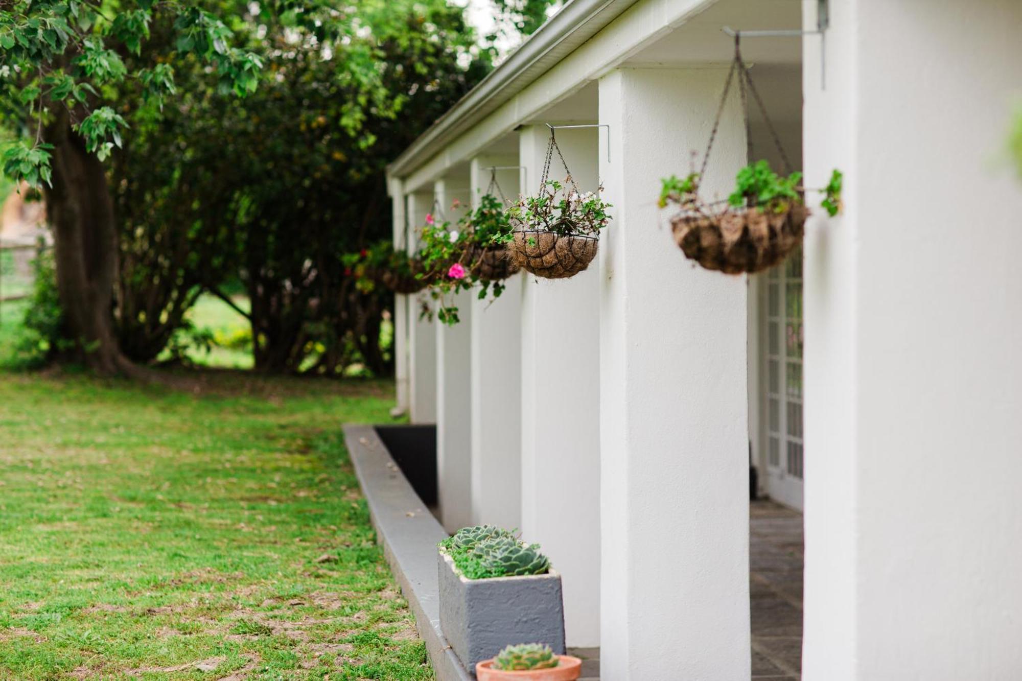 Bed and Breakfast Marshden Estate à Stellenbosch Extérieur photo
